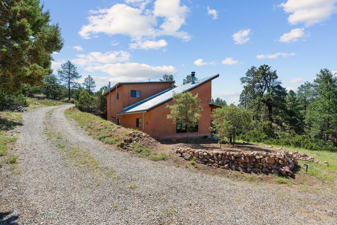 51 Old Forest Trail - Photo 1