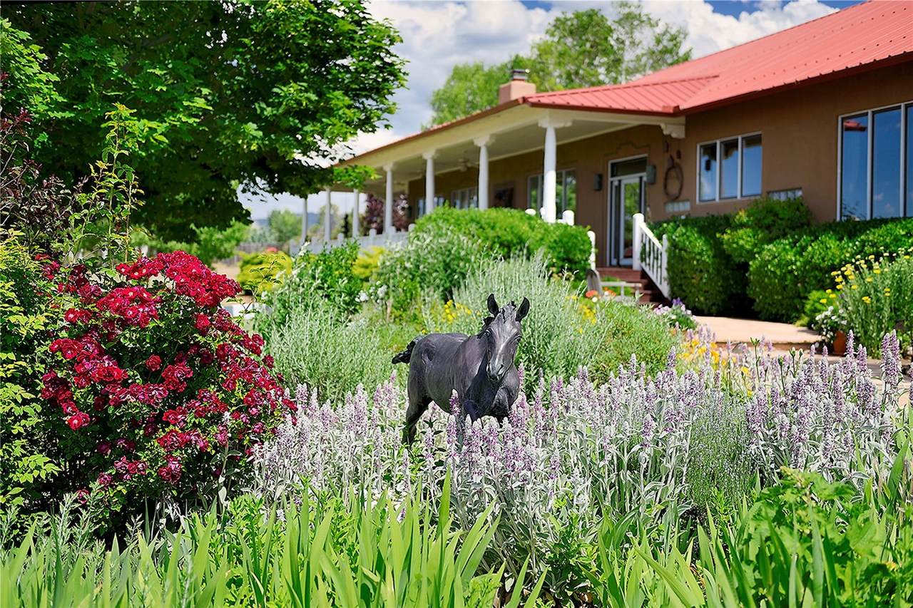 272 Tano Road - Photo 1