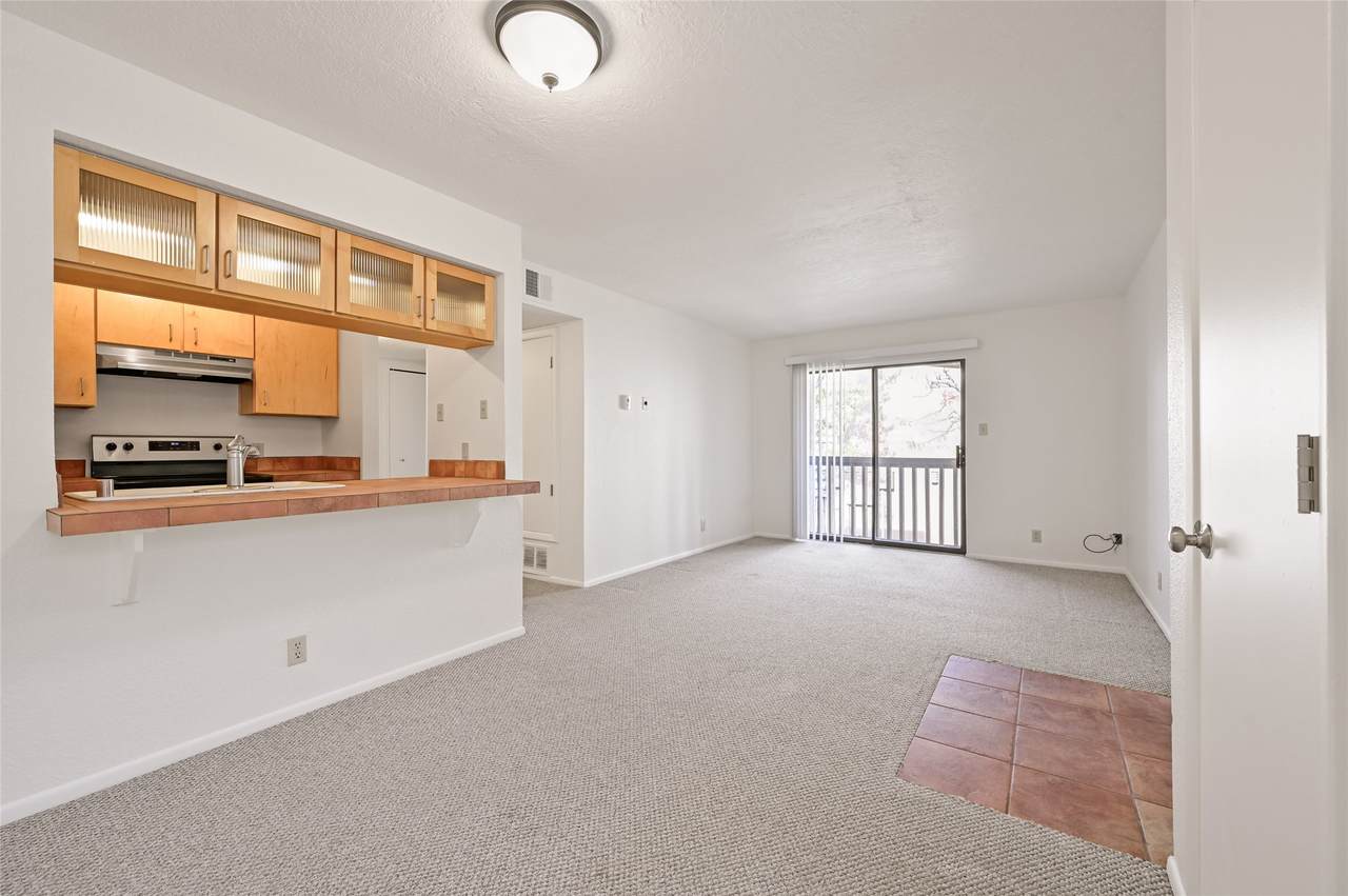 941 Calle Mejia - Photo 1