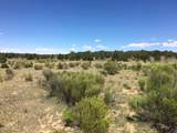 Tract 23 Choctaw - Photo 10