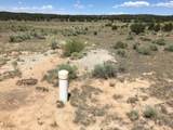 Tract 23 Choctaw - Photo 11