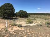 Tract 23 Choctaw - Photo 12