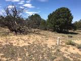 Tract 23 Choctaw - Photo 13