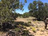 Tract 23 Choctaw - Photo 2