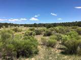 Tract 23 Choctaw - Photo 3