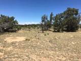 Tract 23 Choctaw - Photo 7