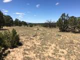 Tract 23 Choctaw - Photo 8