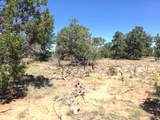 Tract 23 Choctaw - Photo 9