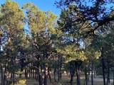 3 Dancing Hawk Drive - Photo 3