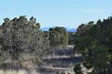 14 Via La Luna (Lot 13) - Photo 5