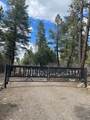 30 Log Ridge - Photo 36