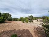 3B Calle Gurule - Photo 8
