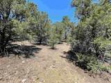 LOT 7-B3 Unit 1 - Photo 8