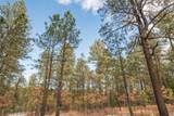 Lot 89 Camino Facil - Photo 3
