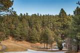 Calle del Palo/W For Pendaries Village Club Subdivision 3 - Photo 6