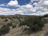 460 Camino Cerro Chato - Photo 11