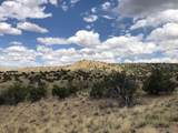 460 Camino Cerro Chato - Photo 12