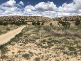 460 Camino Cerro Chato - Photo 15