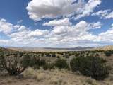 460 Camino Cerro Chato - Photo 3
