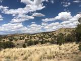 460 Camino Cerro Chato - Photo 4
