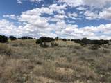 460 Camino Cerro Chato - Photo 8