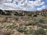 460 Camino Cerro Chato - Photo 9
