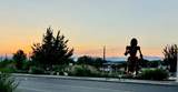 1343 Rufina Circle - Photo 8