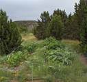 626 County Road B36 - Photo 13