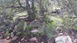 626 County Road B36 - Photo 17