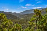 1677 Cerro Gordo - Photo 15