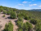 1677 Cerro Gordo - Photo 17