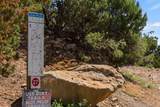 1677 Cerro Gordo - Photo 21