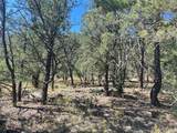 Lot 5B4 Wildflower Lane - Photo 14