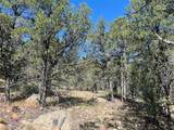 Lot 5B4 Wildflower Lane - Photo 15