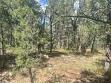 Lot 5B4 Wildflower Lane - Photo 6
