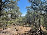 Lot 5B4 Wildflower Lane - Photo 7
