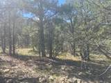 Lot 5B4 Wildflower Lane - Photo 8