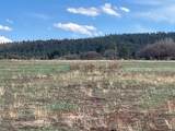 20.535 Acres Cr 425 - Photo 16