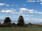 20.535 Acres Cr 425 - Photo 18