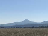 20.535 Acres Cr 425 - Photo 33