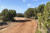 14 Camino Los Abuelos - Photo 17