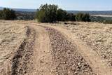 14 Camino Los Abuelos - Photo 25
