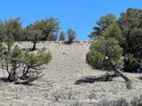 TBD Buena Vista Road - Photo 1