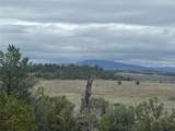 TBD Buena Vista Road - Photo 10