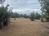 TBD Buena Vista Road - Photo 11