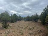 TBD Buena Vista Road - Photo 12