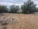 TBD Buena Vista Road - Photo 13