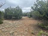 TBD Buena Vista Road - Photo 14