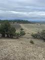 TBD Buena Vista Road - Photo 18
