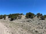 TBD Buena Vista Road - Photo 6